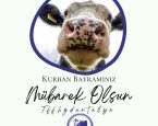 Kurban bayramınız mübarek olsun.